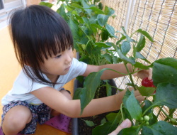 食育